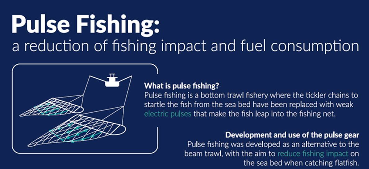 Pulse Fishing