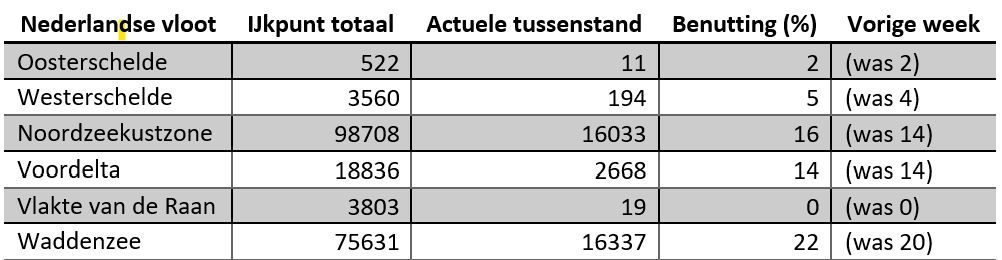 visuren-1.jpeg