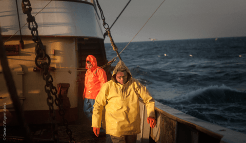 Dokters van de Radio Medische Dienst: Ga fit naar zee