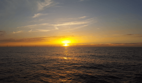 Vissers moeten stem hebben bij beslissingen over Wind op Zee