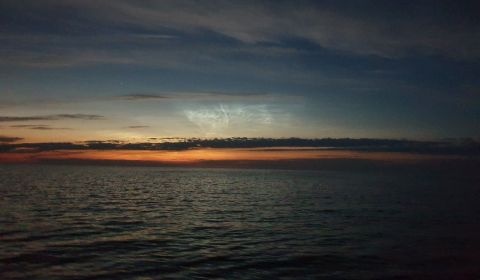 Optimalisatie mosselkweekpercelen Waddenzee