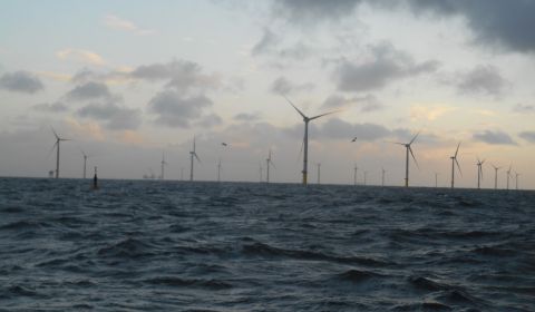 Windparken Doggersbank verder ontwikkeld