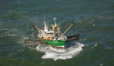 Our Ocean Conferentie legt vinger op zere plek