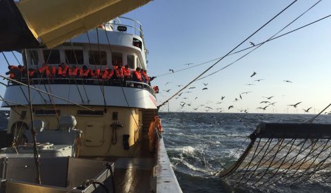 Nederlandse visserijorganisaties open en transparant over pulsvisserij