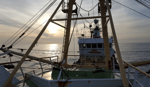 Worden vissers slachtoffer van Europees politiek handjeklap?