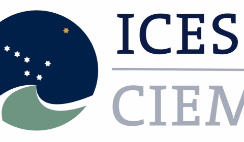 ICES advies over innovatieve tuigen