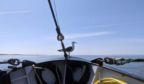 Sylt sluitingen onderhandelingen tussen Duitsland en Nederland