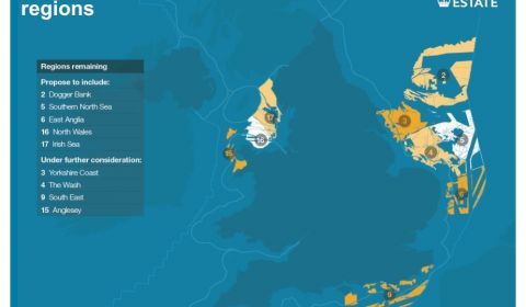 Gezamenlijke zienswijzen VisNed en NFFO voor aanwijzing nieuwe wind op zee gebieden VK