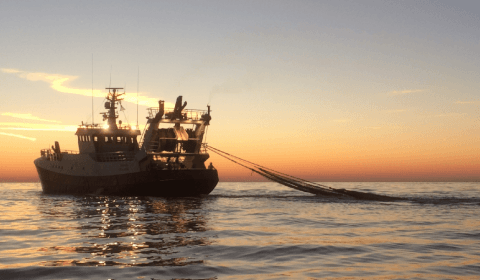 Opnieuw discussie over Flyshootvisserij in het Kanaal