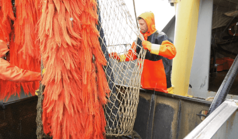 Overleg over Skagerrak met Denemarken geïntensiveerd 