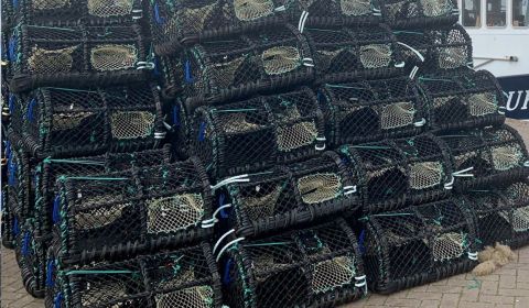 Nieuwe afspraken pottengebieden in het Kanaal 